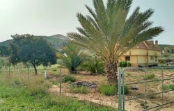 Aspe, Valencia 03680