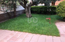 Barcelona, Catalonia 08830