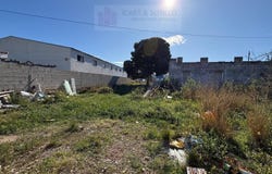 Vinaros, Valencian Community 12500