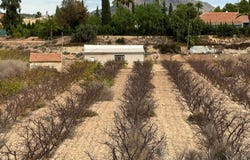 Monóvar, Valencian Community 03640