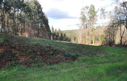 Estrada, Galicia 36680