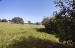 Huelva, Andalusia 21590