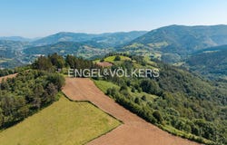 Orendain, Basque Country 20269