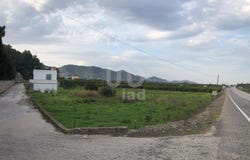 Oliva, Valencia 46780