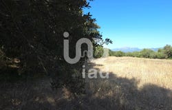 Balears (Illes), Balearic Islands 07440