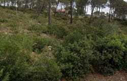 Olivella, Catalonia