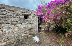 Arta, The Balearic Islands 07570
