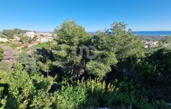 Tarragona, Catalonia 43881