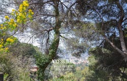 Cabrils, Catalonia 08348