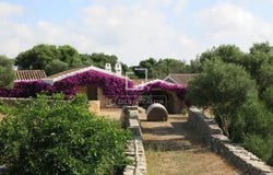 Alaior, The Balearic Islands 07730