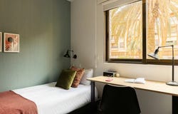 Passeig Facultats, Valencia, Valencian Community 46021