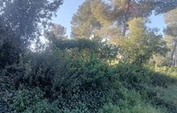 Olivella, Catalonia