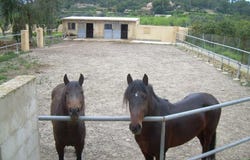 Altea, Valencian Community 03590