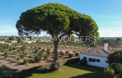 Sanlúcar la Mayor, Andalusia 41800