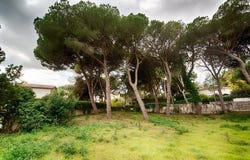 Palamós, Cataluña|Catalonia 17248