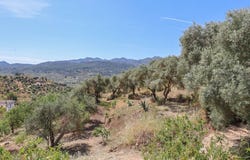 Monda, Andalusia 29110