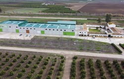 Diseminado Calonge Bajo, 9, Cordoba, Andalusia 14700