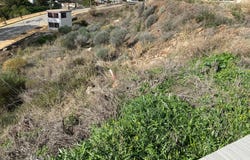 Elviria, Andalusia 29600