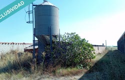 Lagartera, Castile-La Mancha 45567