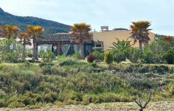 Salinas, Valencian Community 03638