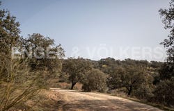 Guadalcanal, Andalusia 41390