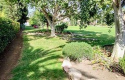 Guadalmina Baja, Marbella, Malaga