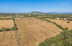 Sencelles, Balearic Islands 07140