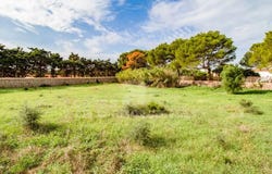 Maó / Mahón, Balearic Islands 07712