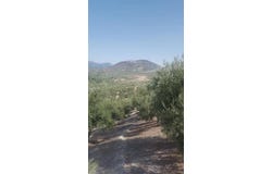 Quesada, Andalusia 23480