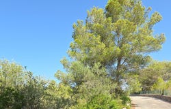 Balears (Illes), Balearic Islands 07669