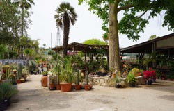 Teulada, Valencian Community