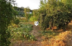Fuensanta De Martos, Jaen