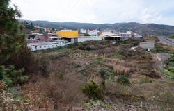Icod de los Vinos, Canary Islands