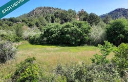 Olocau, Valencian Community 46169