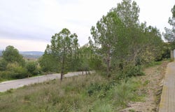 Sant Llorenç d'Hortons, Catalonia
