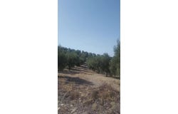 Quesada, Andalusia 23480