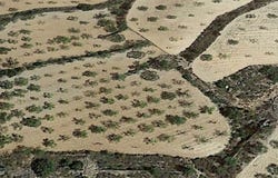 Romana (la), Valencian Community