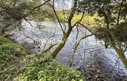 Ribamontán al Monte, Cantabria 39793
