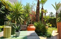 San Fulgencio, Valencia 03177