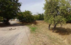 Villamanta, Community of Madrid