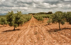 Archidona, Andalusia 29300