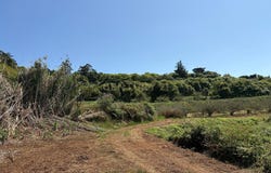 Tacoronte, Canary Islands