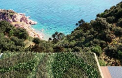 Sant Feliu de Guixols, Catalonia 17220