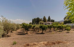 Zubia (La), Andalusia