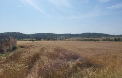 Balears (Illes), Balearic Islands 07510