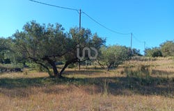 Tarragona, Catalonia 43529