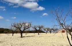 Bullas, Murcia