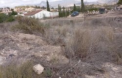 Monovar, Comunidad Valenciana
