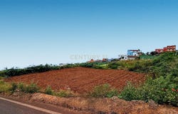 Realejos (Los), Canary Islands