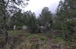 Xàtiva, Valencian Community